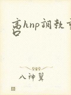 高hnp调教重口