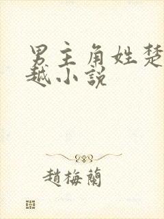 男主角姓楚的穿越小说
