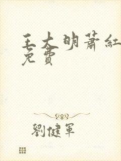 王大明萧红小说免费封面