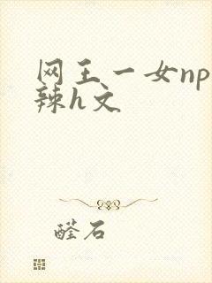 网王一女np高辣h文