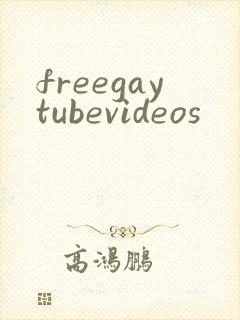 freegaytubevideos