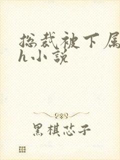 总裁被下属调教h小说