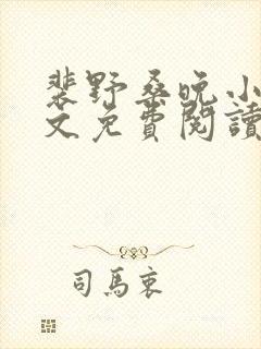 裴野桑晚小说全文免费阅读最新章节封面