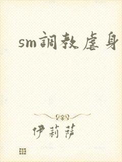 sm调教虐身文