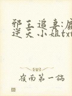 邪王追妻:废材逆天小姐txt封面
