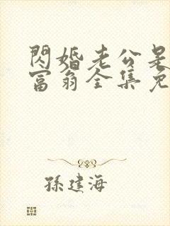 闪婚老公是亿万富翁全集免费封面