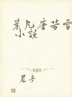 叶凡唐若雪医婿 小说