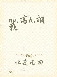 np,高h,调教