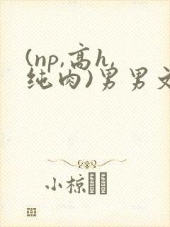 (np,高h,纯肉)男男文