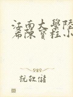 江南大学陆黄若希陈宝柱小说