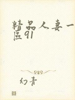 精品人妻一二三区91