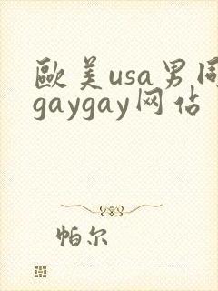 欧美usa男同gaygay网站