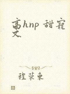 高hnp 甜宠文