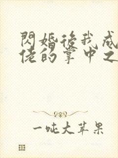 闪婚后我成了大佬的掌中之物无删减