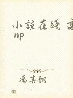 小说在线 高h np