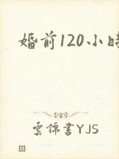 婚前120小时封面