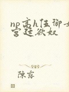 np高h伍御女宫廷欲奴