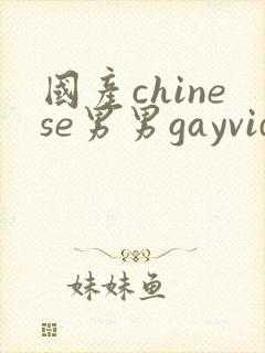 国产chinese男男gayvideo