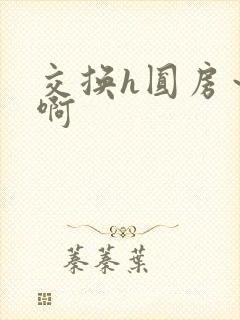 交换h圆房～嗯啊