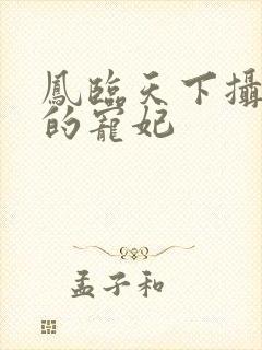 凤临天下摄政王的宠妃封面