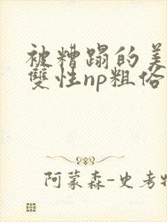 被糟蹋的美人(双性np粗俗)封面