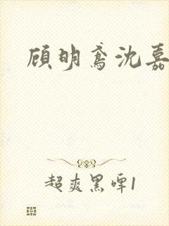 顾明鸢沈嘉礼