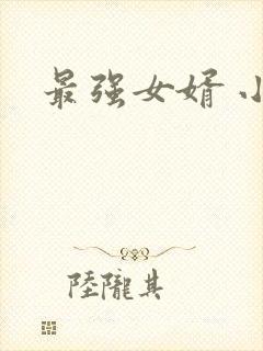 最强女婿 小说
