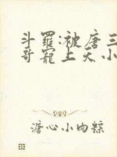 斗罗:被唐三哥哥宠上天小说封面