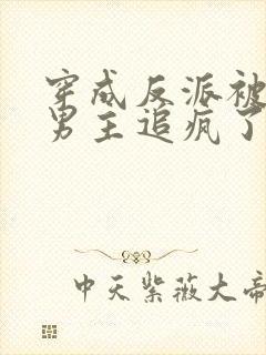 穿成反派被纯恨男主追疯了