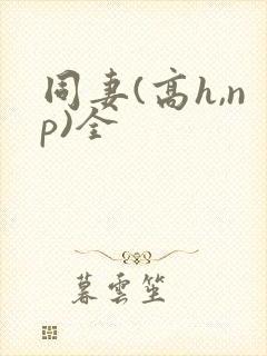 同妻(高h,np)全