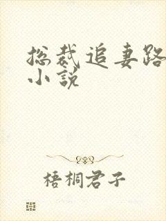 总裁追妻路漫漫小说封面