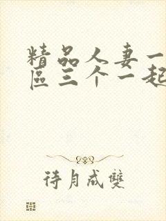 精品人妻一区二区三个一起