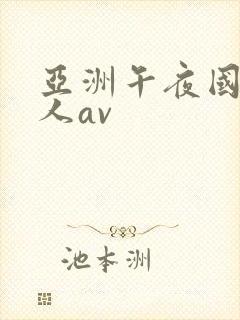 亚洲午夜国产成人av封面