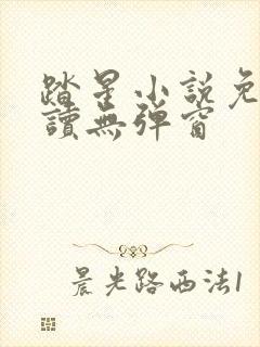 踏星小说免费阅读无弹窗封面
