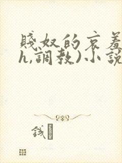 贱奴的哀羞(高h,调教)小说