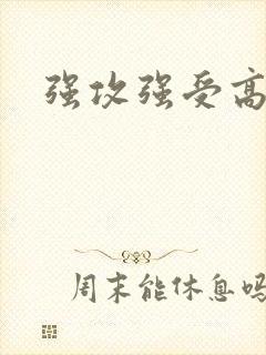 强攻强受高h文
