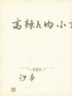 高辣h肉小说