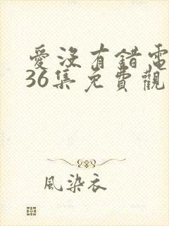 爱没有错电视剧36集免费观看剧情