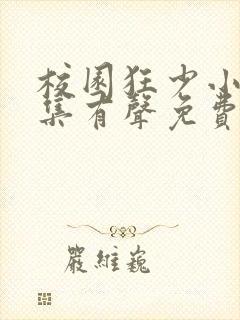 校园狂少小说全集有声免费听