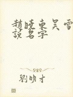 赵晓东吴雪晴小说名字封面