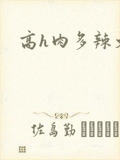 高h肉多辣文