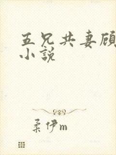 五兄共妻顾心儿小说