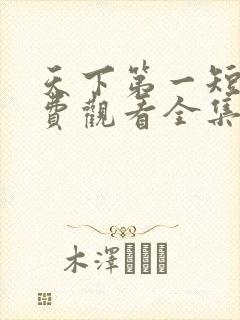 天下第一短剧免费观看全集完整版