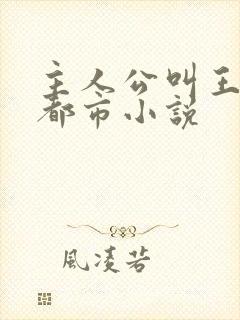主人公叫王浩的都市小说