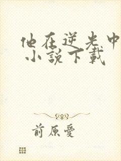 他在逆光中告白 小说下载