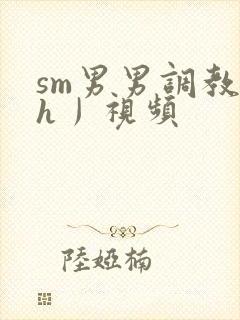 sm男男调教〈h丿视频