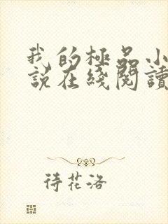 我的极品小姨小说在线阅读全文免费