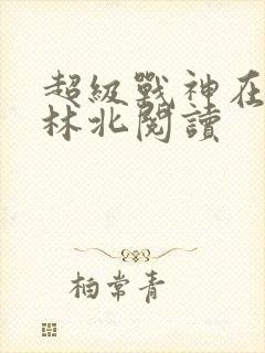 超级战神在都市林北阅读
