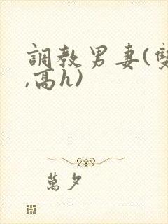 调教男妻(双性,高h)