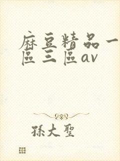 麻豆精品一区二区三区av